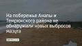 С 14 по 20 ноября на побережье Анапы и Темрюкского района не зафиксировали новых выбросов нефтепродуктов