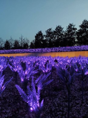 Парк «Краснодар» возглавил список самых крутых парков России, обойдя всех конкурентов