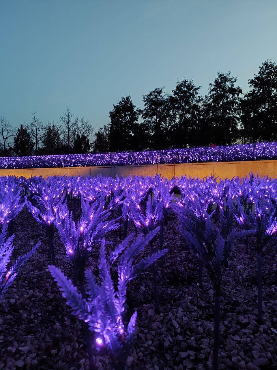 Парк «Краснодар» возглавил список самых крутых парков России, обойдя всех конкурентов