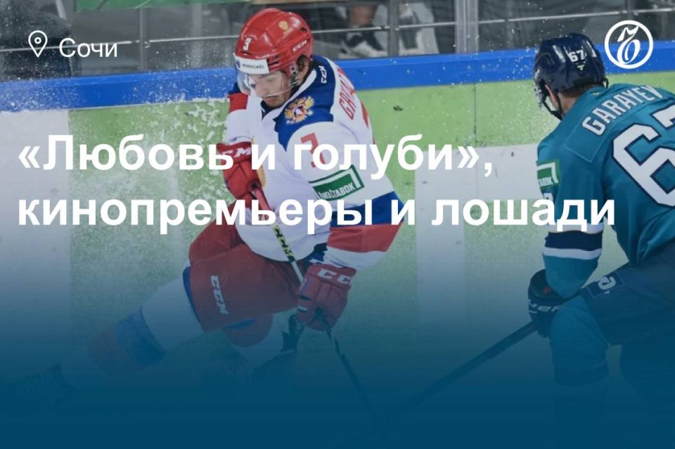 Куда сходить в Сочи 21, 22 и 23 ноября