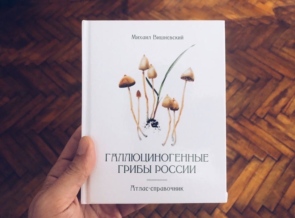 Мухоморный микродозинг: риск или новая граница сознания?