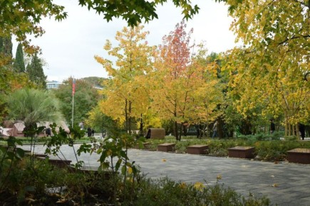 Доброе утро, дорогие сочинцы и гости курорта!