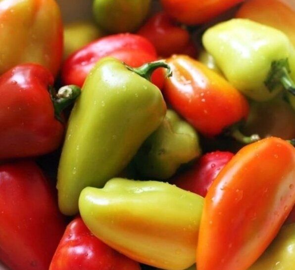 Старые сорта болгарского перца, которые заслуживают вашего внимания