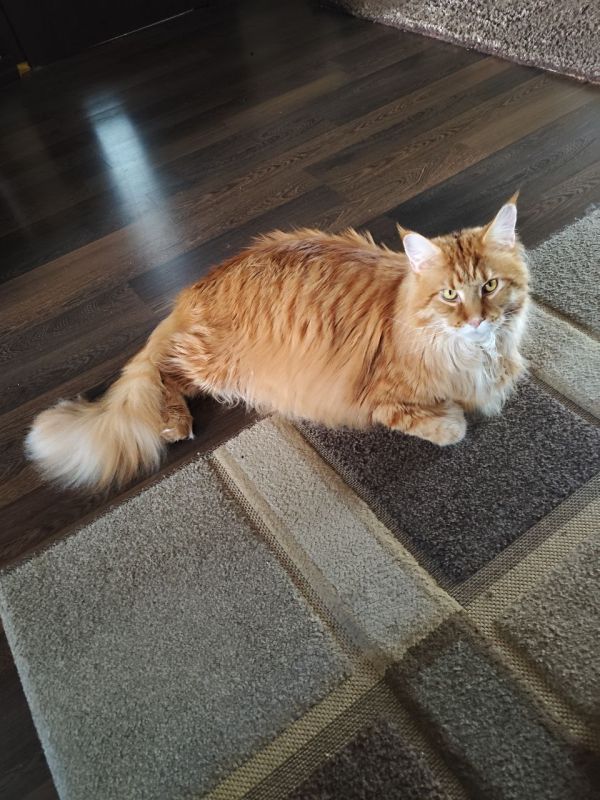 Доброе утро, Кубань!. Краснодар +21 °С