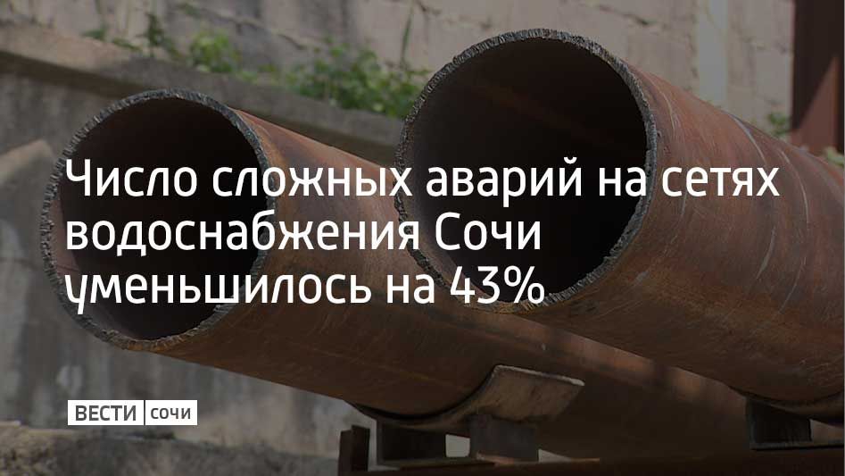 Глава Сочи Андрей Прошунин доложил об этом на совещании губернатору Краснодарского края Вениамину Кондратьеву в режиме видеосвязи