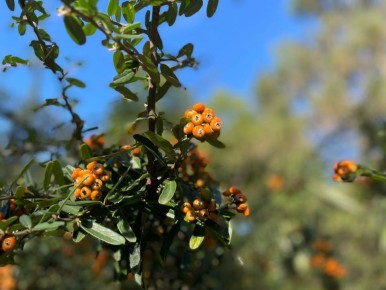 Доброе утро, любимый город!