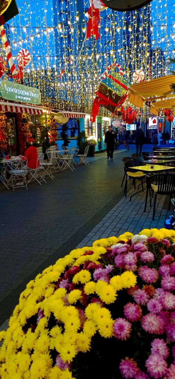 О погоде на 25 ноября. В Краснодарском крае переменная облачность О погоде на 25 ноября. В Краснодарском крае переменная облачность