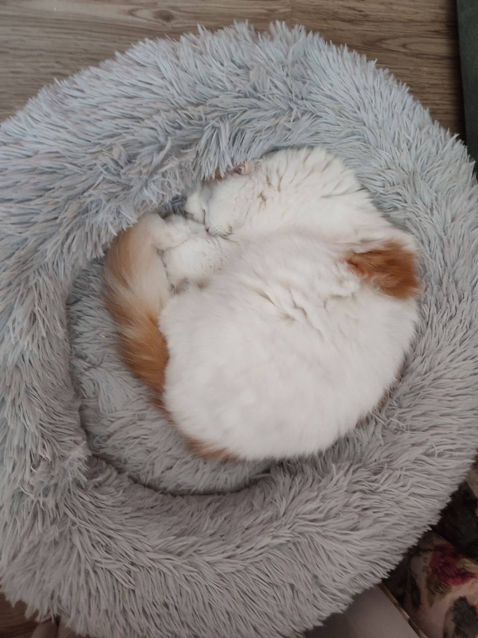 О погоде на 25 ноября. В Краснодарском крае переменная облачность О погоде на 25 ноября. В Краснодарском крае переменная облачность