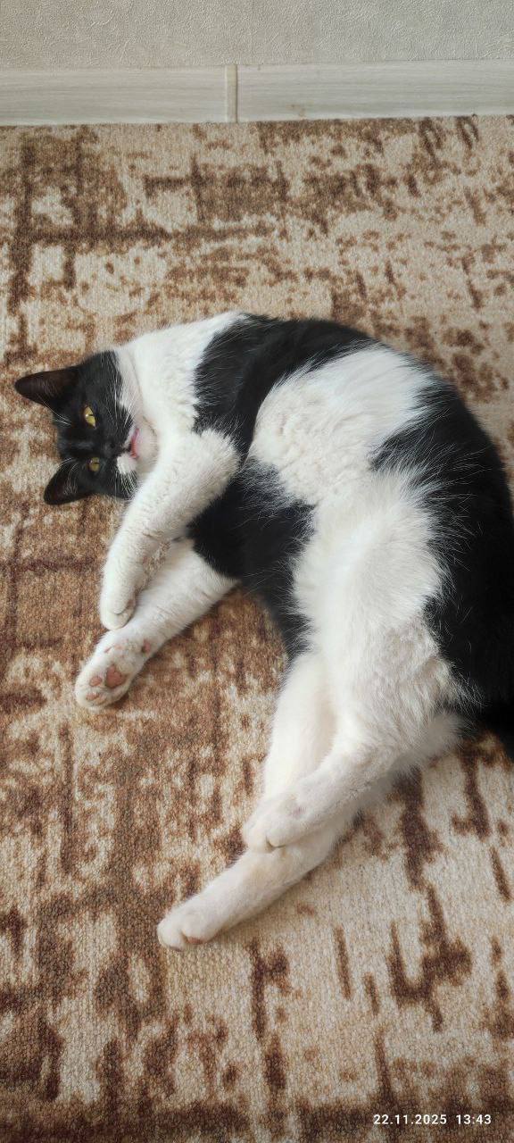 О погоде на 25 ноября. В Краснодарском крае переменная облачность О погоде на 25 ноября. В Краснодарском крае переменная облачность