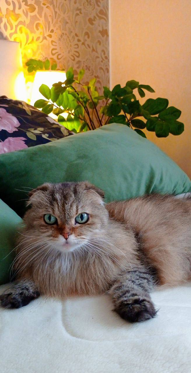 О погоде на 25 ноября. В Краснодарском крае переменная облачность О погоде на 25 ноября. В Краснодарском крае переменная облачность