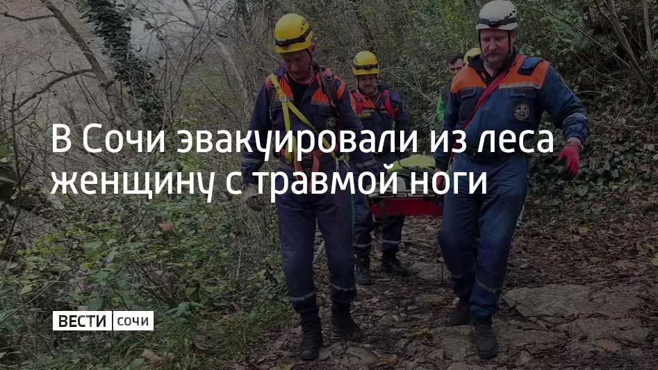 24    &quot;   &quot;    ,                    