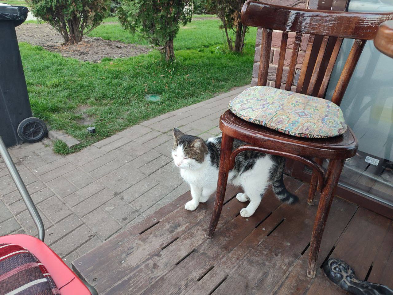 О погоде на 25 ноября. В Краснодарском крае переменная облачность