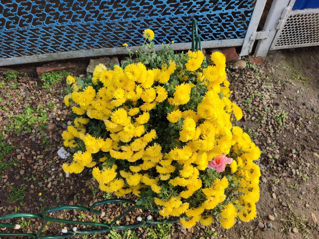 О погоде на 25 ноября. В Краснодарском крае переменная облачность О погоде на 25 ноября. В Краснодарском крае переменная облачность