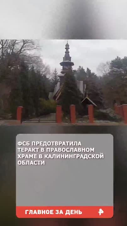 Ужасные гематомы, следы ударов и разрывы тканей обнаружены на теле 16-летнего воспитанника реабилитационного центра в Подмосковье