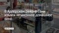 На улице Ленина 51-летняя женщина торговала без регистрации ИП. Полицейские обнаружили 57 литров домашнего вина неизвестного происхождения