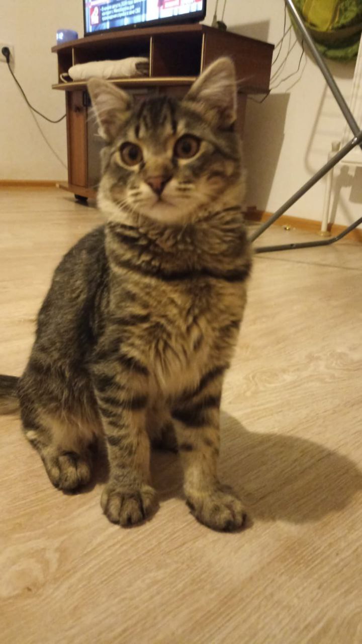 Доброе утро, Кубань!. Краснодар +15 °С Доброе утро, Кубань!. Краснодар +15 °С