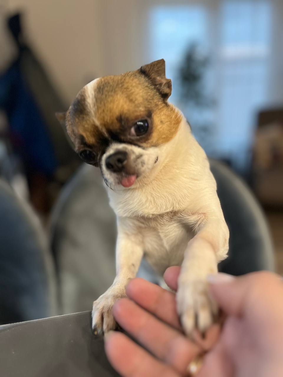 Доброе утро, Кубань!. Краснодар +15 °С Доброе утро, Кубань!. Краснодар +15 °С