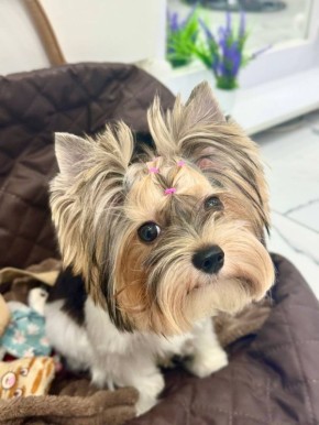 Доброе утро, Кубань!. Краснодар +15 °С