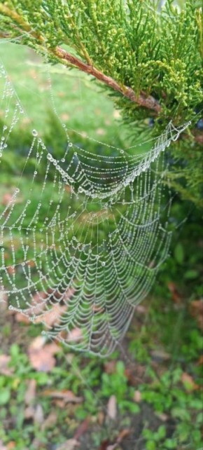 О погоде на 27 ноября. В Краснодарском крае переменная облачность