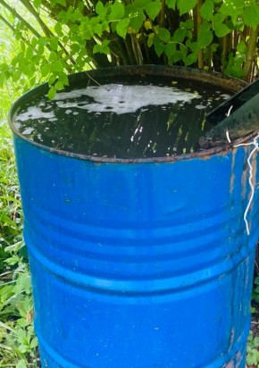 Дождевая вода: скрытая угроза для вашего урожая