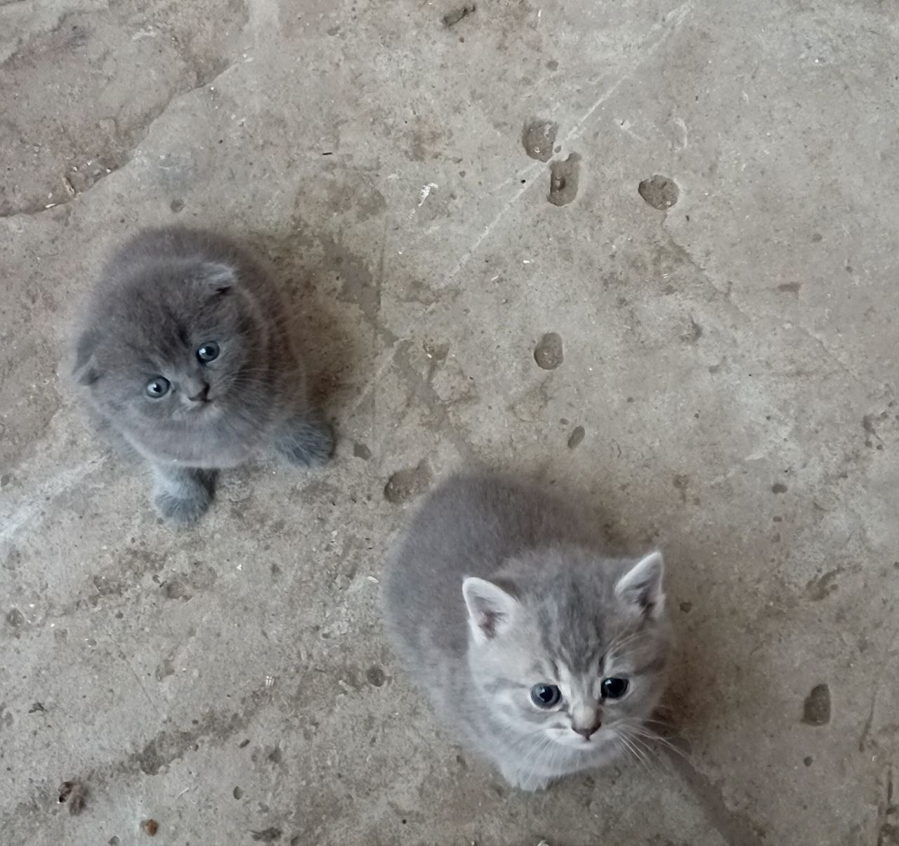 Доброе утро, Кубань!. Краснодар +15 °С Доброе утро, Кубань!. Краснодар +15 °С