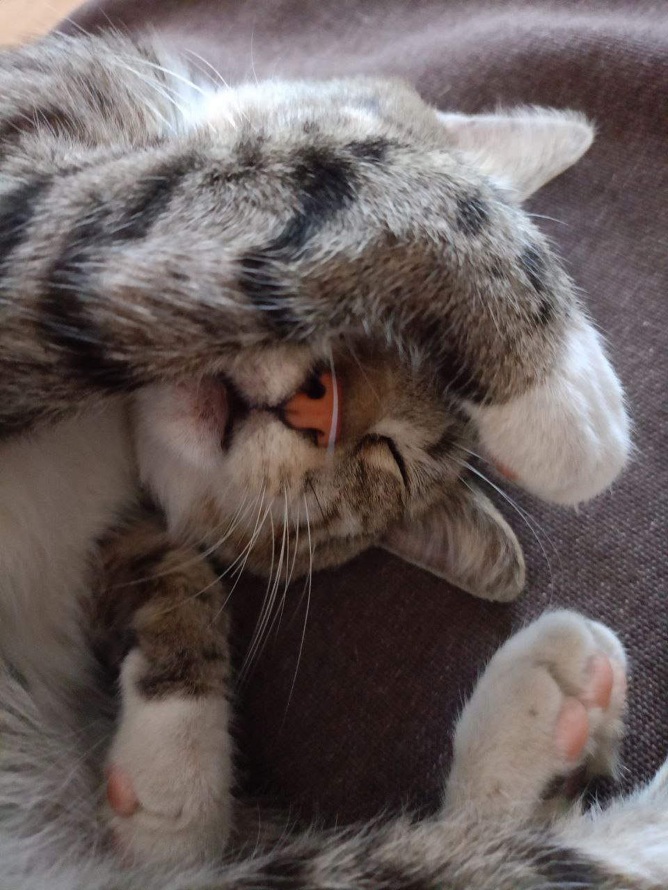 Доброе утро, Кубань!. Краснодар +15 °С Доброе утро, Кубань!. Краснодар +15 °С