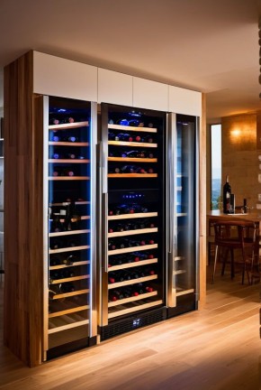 Как выбрать идеальный винный шкаф для хранения ценного напитка