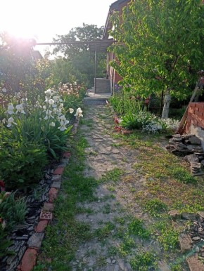 Старый vs юный сад: что выбрать для своего участка?