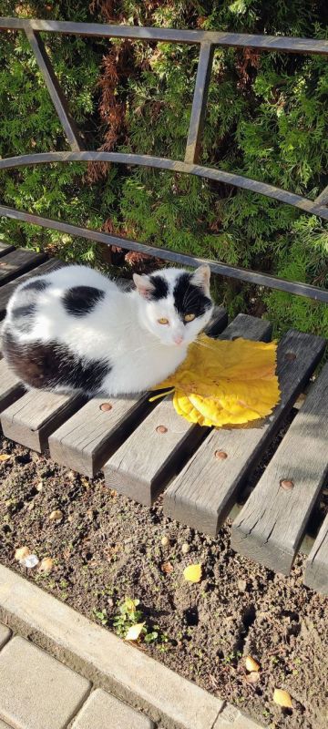 О погоде на 29 ноября. В Краснодарском крае переменная облачность