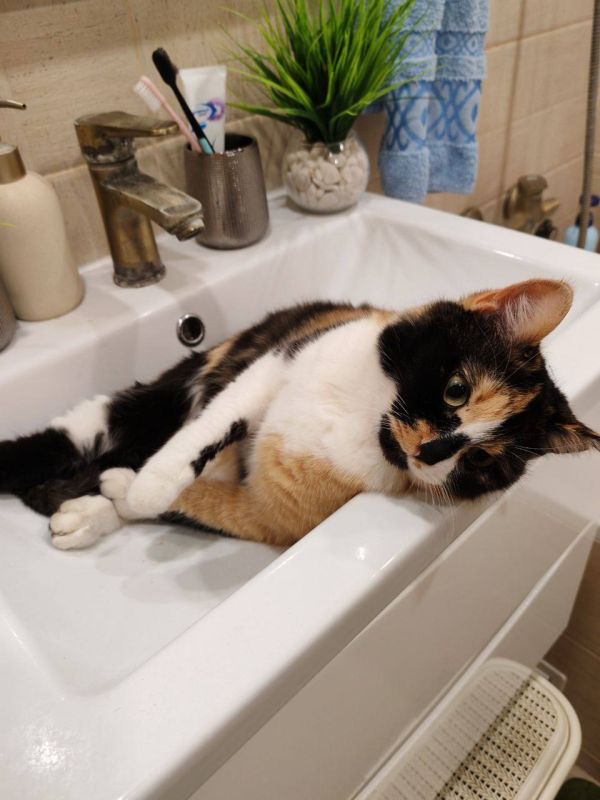 О погоде на 30 ноября. В Краснодарском крае переменная облачность