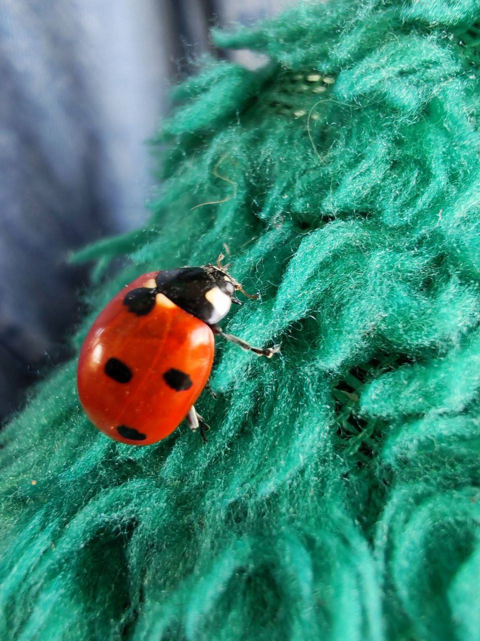 О погоде на 30 ноября. В Краснодарском крае переменная облачность О погоде на 30 ноября. В Краснодарском крае переменная облачность