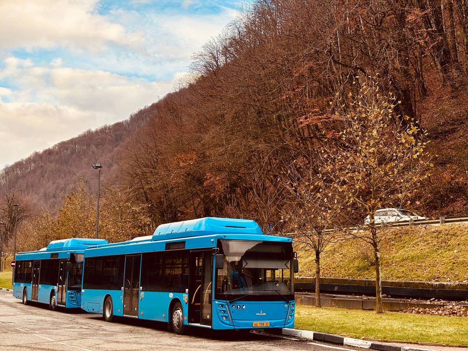 Доброе утро!. Понедельник ДТиДХ в Telegram | MAX