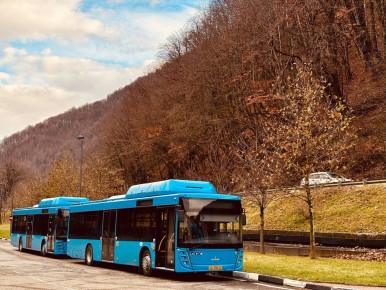 Доброе утро!. Понедельник ДТиДХ в Telegram | MAX