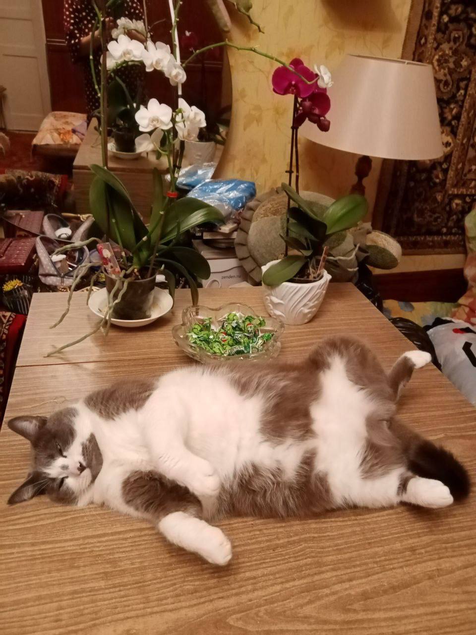 Доброе утро, Кубань!. Краснодар +11 °С Доброе утро, Кубань!. Краснодар +11 °С