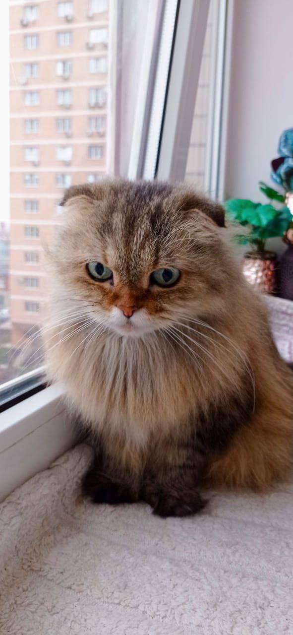 О погоде на 2 декабря. В Краснодарском крае облачно О погоде на 2 декабря. В Краснодарском крае облачно