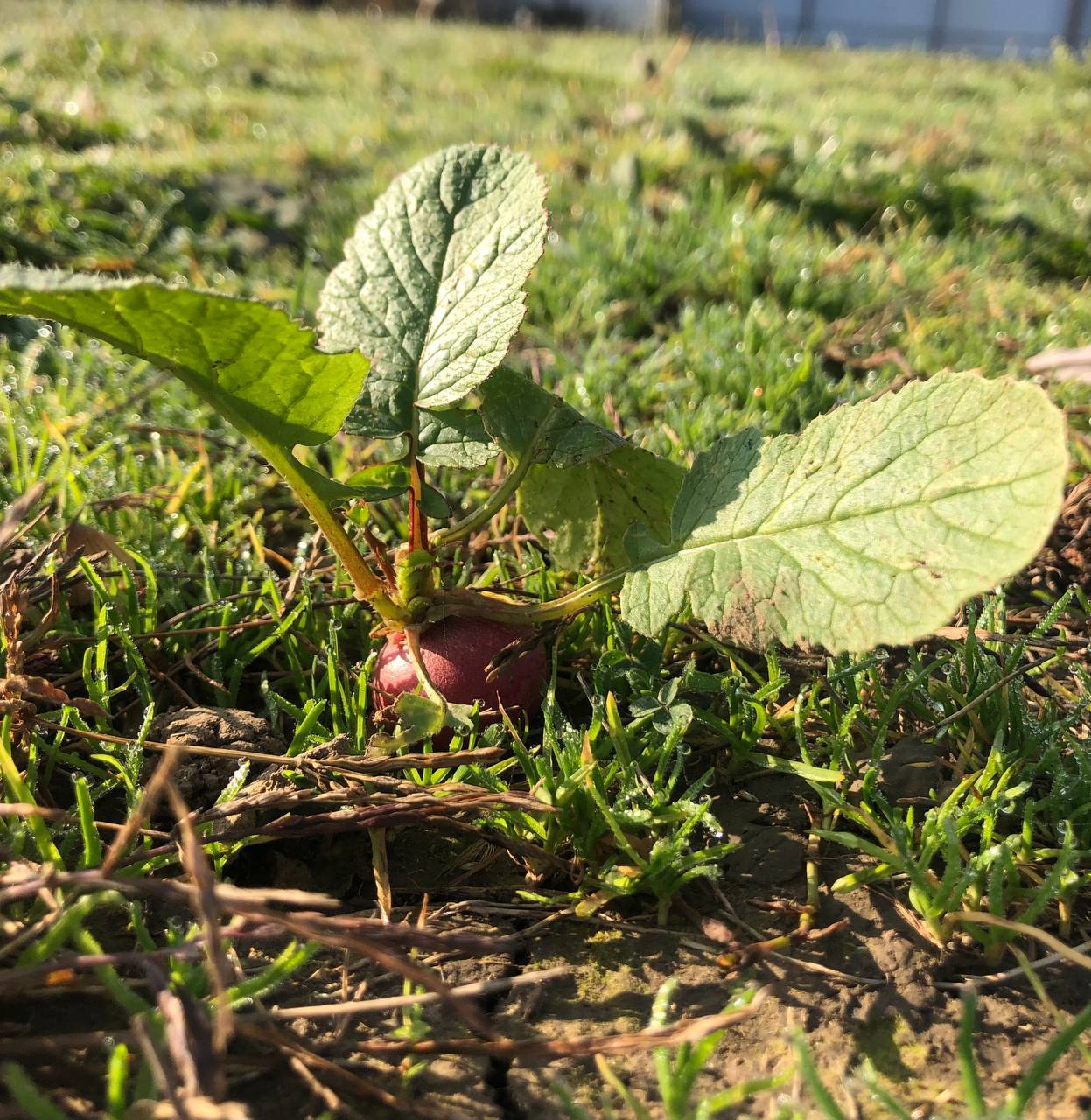 О погоде на 2 декабря. В Краснодарском крае облачно О погоде на 2 декабря. В Краснодарском крае облачно