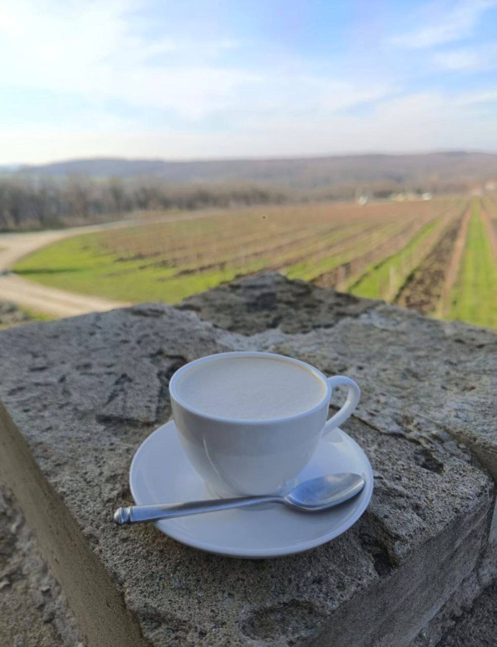 О погоде на 2 декабря. В Краснодарском крае облачно О погоде на 2 декабря. В Краснодарском крае облачно