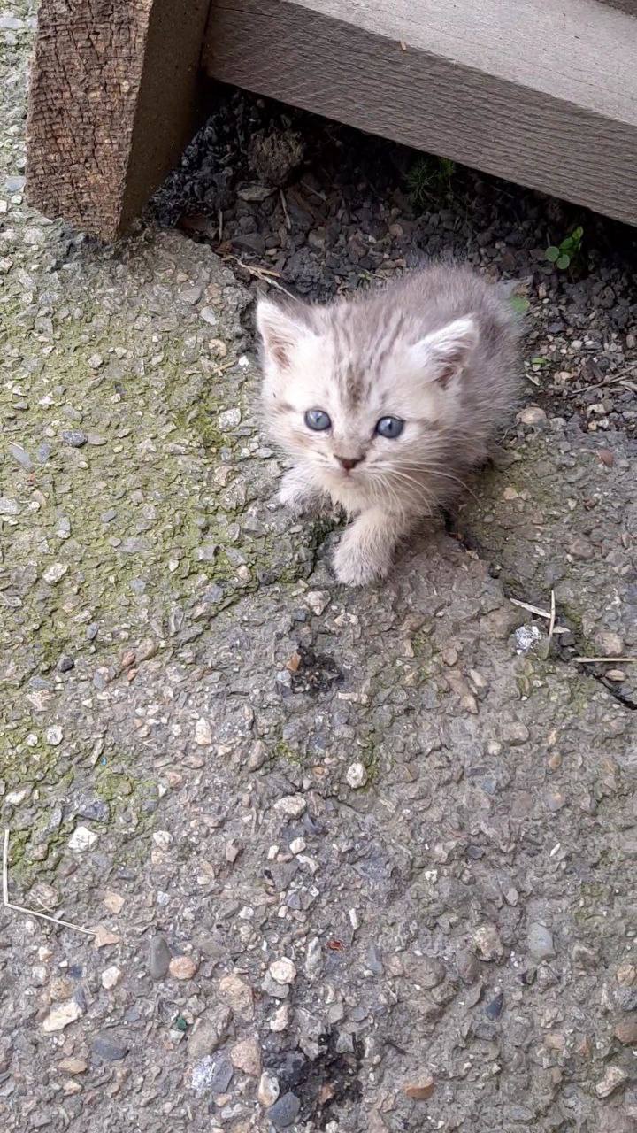 Доброе утро, Кубань!. Краснодар +11 °С Доброе утро, Кубань!. Краснодар +11 °С