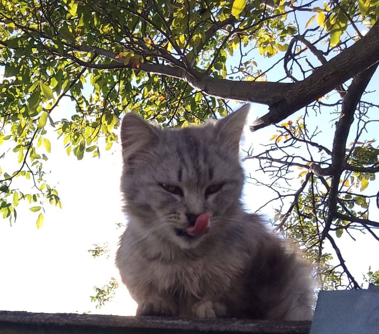 Доброе утро, Кубань!. Краснодар +11 °С Доброе утро, Кубань!. Краснодар +11 °С