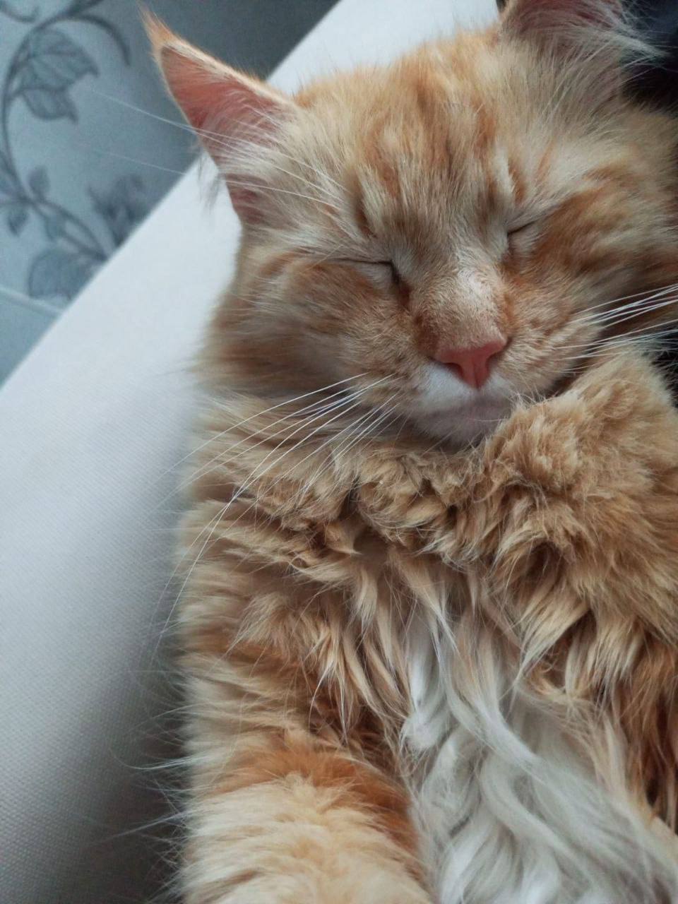 Доброе утро, Кубань!. Краснодар +11 °С Доброе утро, Кубань!. Краснодар +11 °С