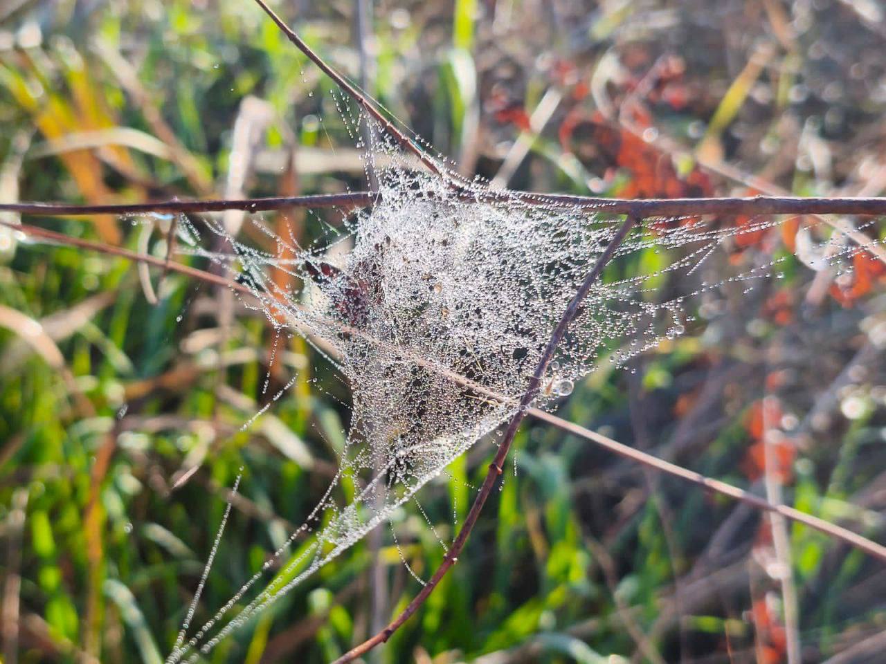 О погоде на 2 декабря. В Краснодарском крае облачно