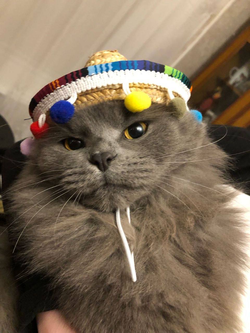 Доброе утро, Кубань!. Краснодар +11 °С