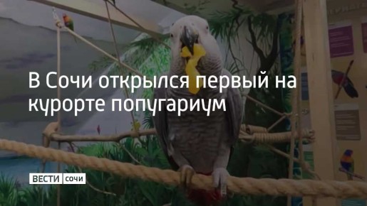 В Сочи открылся первый на курорте попугариум