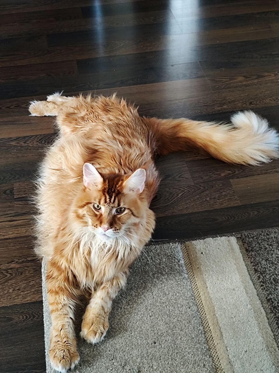 Доброе утро, Кубань!. Краснодар +11 °С Доброе утро, Кубань!. Краснодар +11 °С