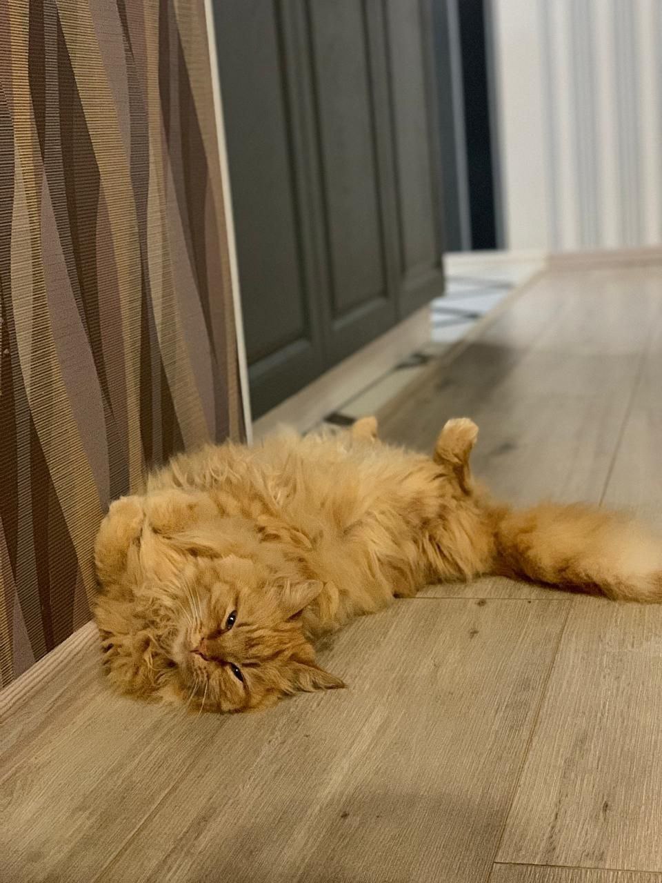 Доброе утро, Кубань!. Краснодар +11 °С Доброе утро, Кубань!. Краснодар +11 °С