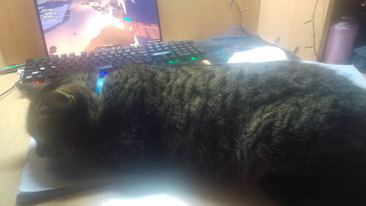 Доброе утро, Кубань!. Краснодар +11 °С Доброе утро, Кубань!. Краснодар +11 °С