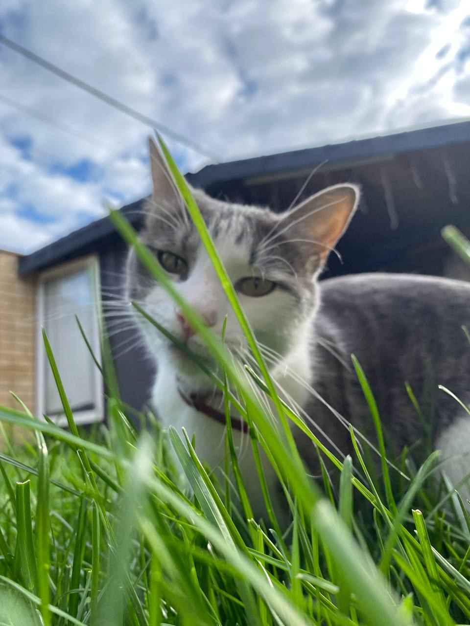 Доброе утро, Кубань!. Краснодар +11 °С Доброе утро, Кубань!. Краснодар +11 °С