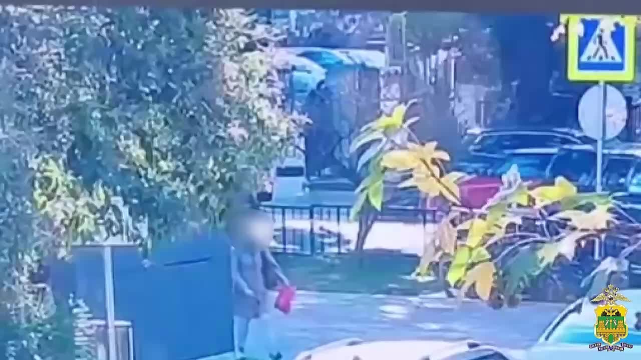 Кражу розового чемодана с 400 000 раскрыли оперативники в Сочи