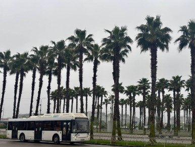 Доброе утро!. Пятница