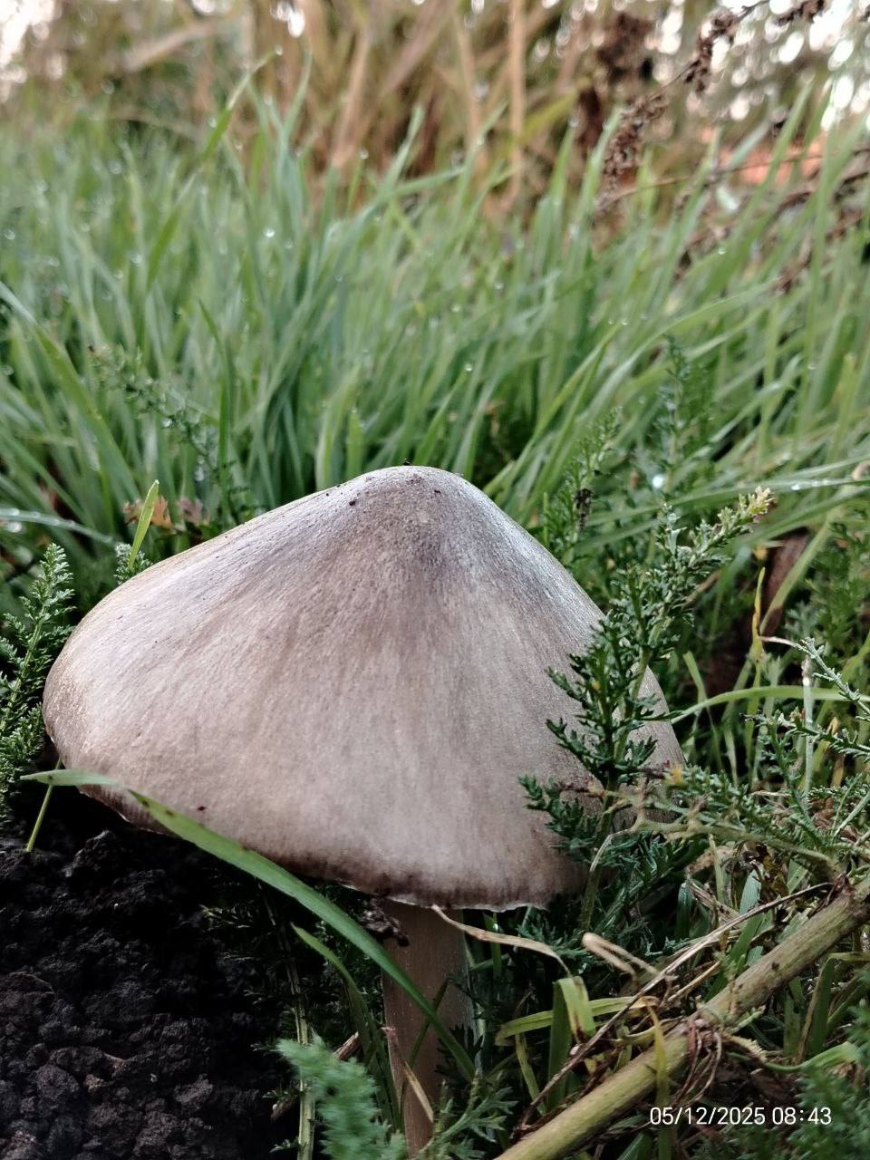 О погоде на 6 декабря. В Краснодарском крае облачно с прояснениями О погоде на 6 декабря. В Краснодарском крае облачно с прояснениями